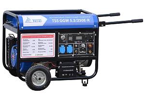 Бензиновый сварочный генератор TSS GGW 5.5/250E-R ТСС