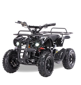 Квадроцикл MOTAX Mini Grizlik Х-16 1000W (Черный)