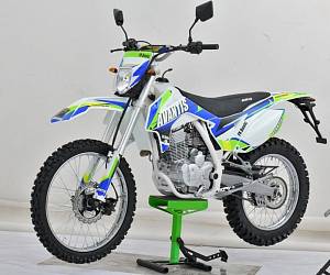 Мотоцикл Avantis FX 250 (172 FMM Design HS 2019)